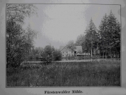 <p>Knížecí - Černý mlýn - 2 (čp. 37, Fürstenwaldský mlýn, fungoval do roku 1946, později vyhořel a již nebyl obnoven, dnes nestojí, mlýnský rybník má protrženou hráz)</p>